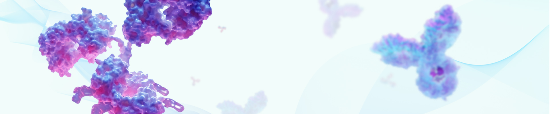 Antibody Banner1